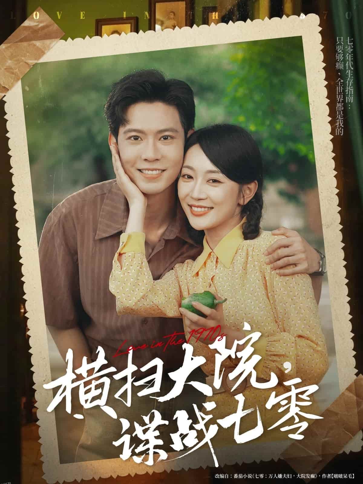 横扫大院谍战七零 海报