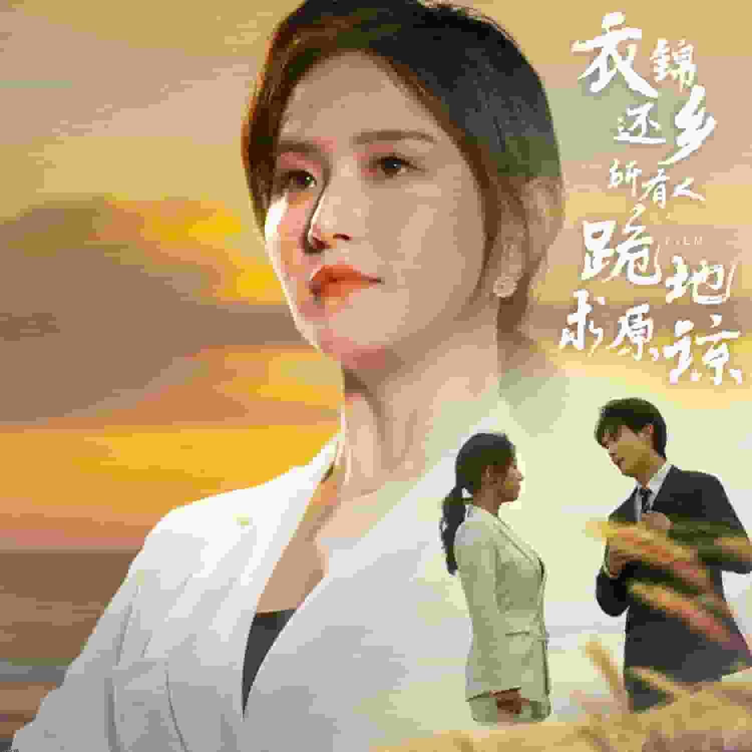 衣锦还乡，所有人跪地求原谅 海报