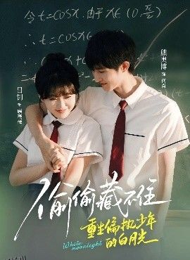 偷偷藏不住重生偏执少年的白月光 海报