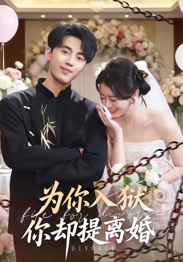 为你入狱，你却提离婚 海报