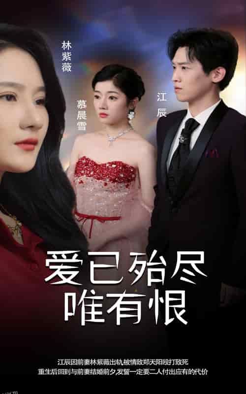 爱已殆尽唯有恨 高清海报