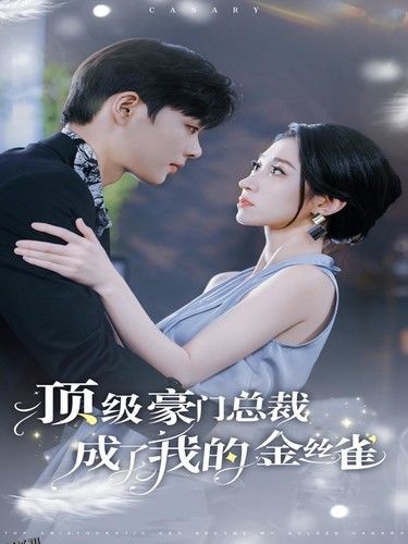 顶级豪门总裁成了我的金丝雀 海报