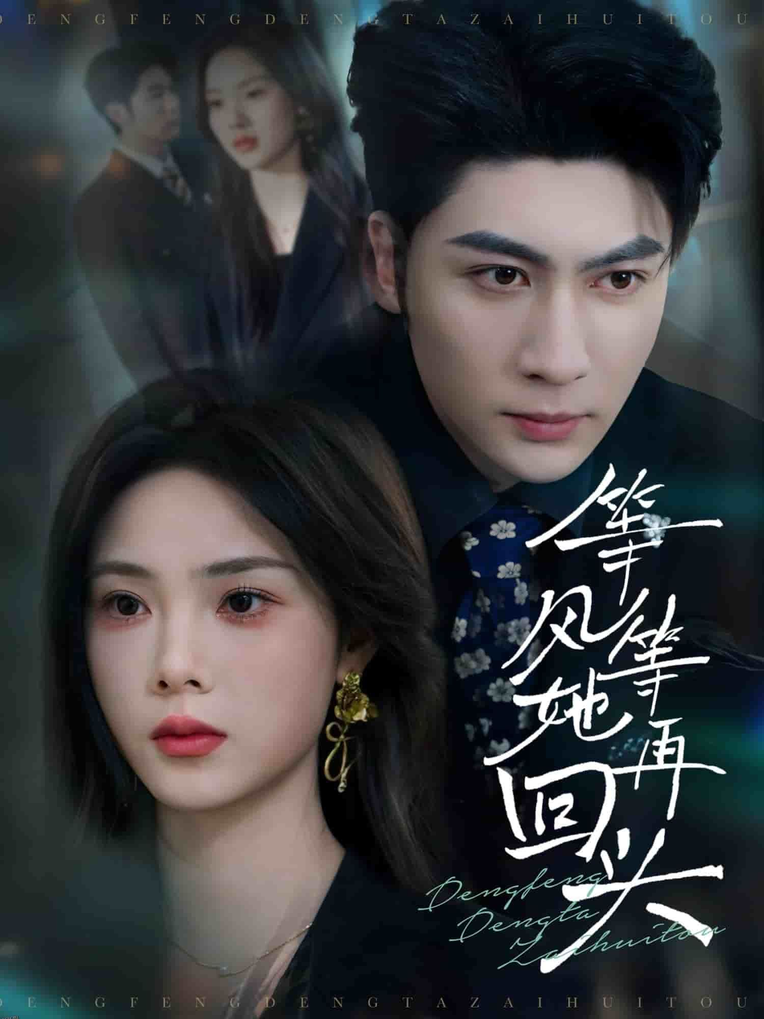 等风等她再回头 海报