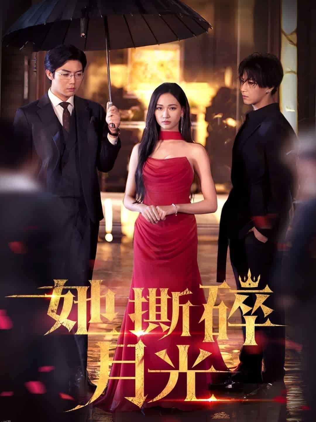 她撕碎月光 海报