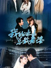 我的冰山总裁老婆 海报