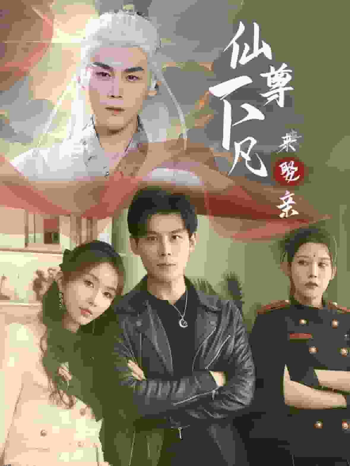 仙尊下凡来娶亲 海报