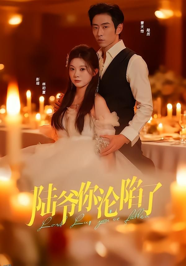 陆爷你沦陷了 海报