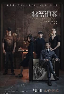 秘密访客[电影解说] 海报