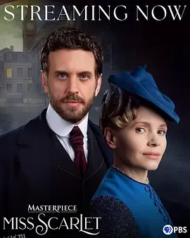 斯嘉丽小姐探案集 第六季 海报