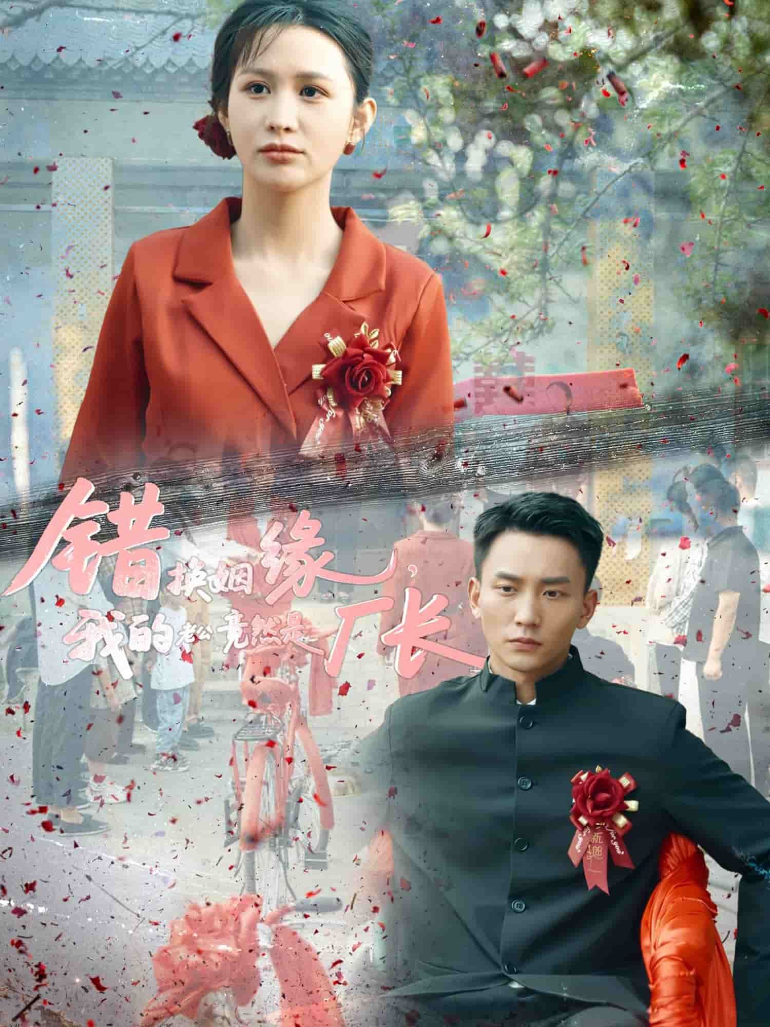 错换姻缘，我的老公竟然是厂长 海报