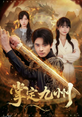 掌定九州 海报