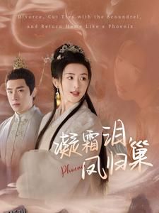 凝霜泪凤归巢 海报