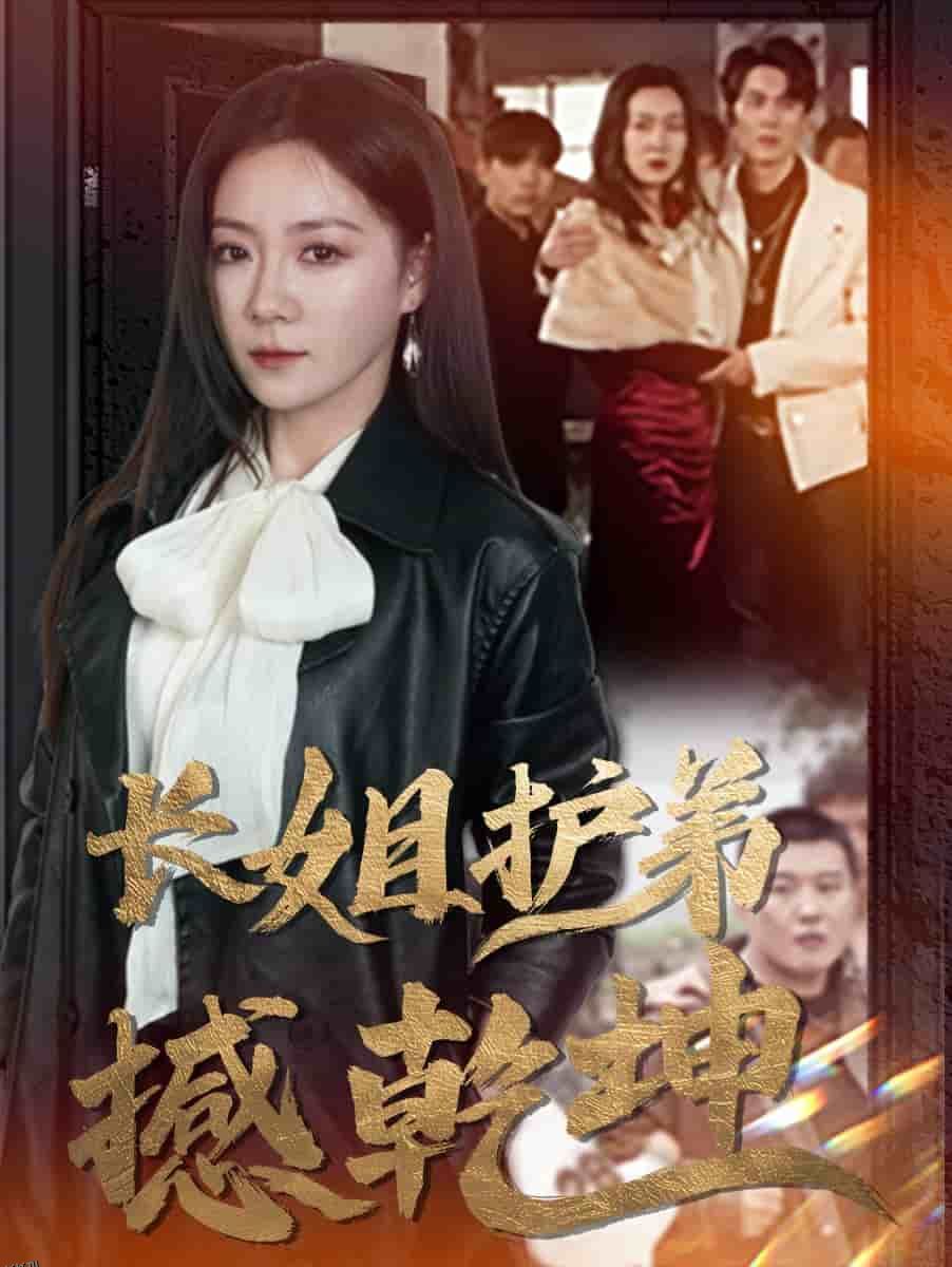 长姐护弟撼乾坤 海报