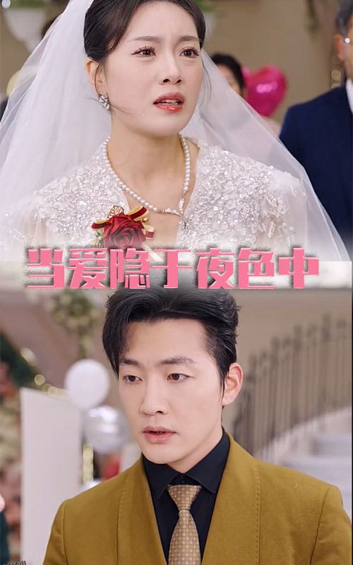 当爱隐于夜色中 海报