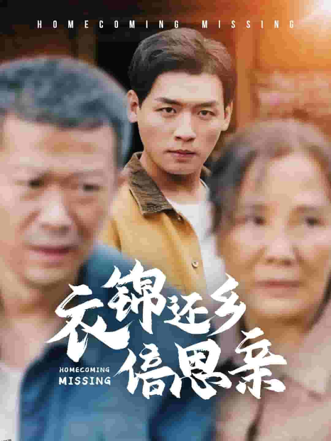 衣锦还乡倍思亲 高清海报