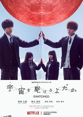 翱翔于天际的夜鹰 海报