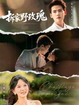 拆家野玫瑰 海报