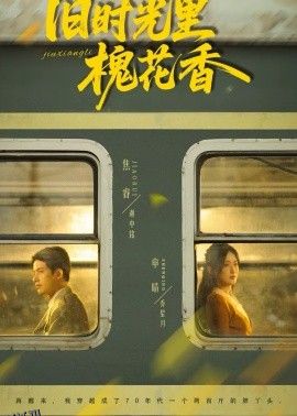 旧时光里槐花香 海报