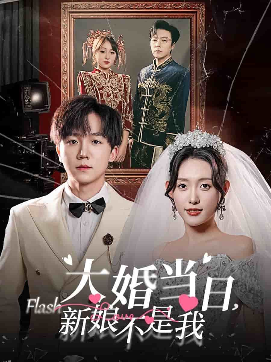 大婚当日新娘不是我 海报