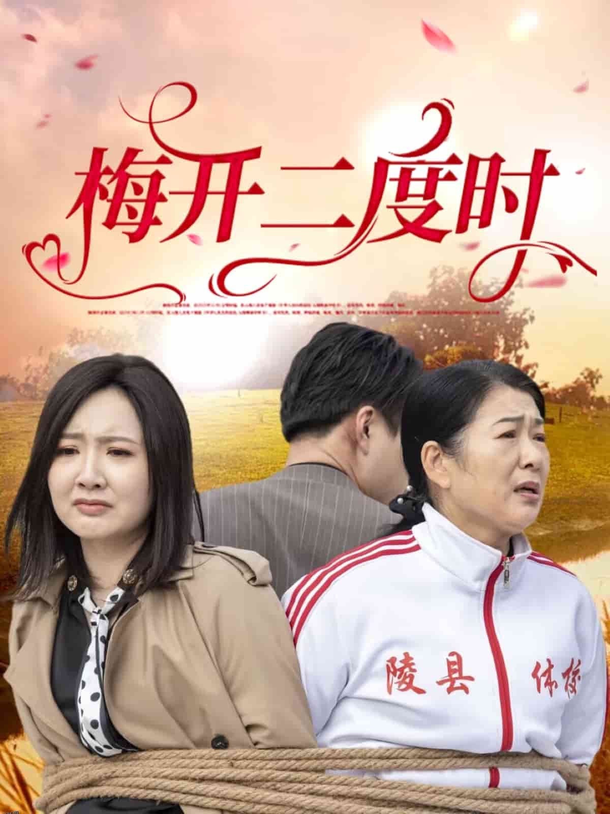 梅开二度时 海报
