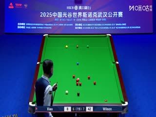 2025斯诺克武汉公开赛决赛 肖国栋10-9加里·威尔逊（第二阶段）（秦正、蔡剑忠）（50帧原画） 20250830 海报
