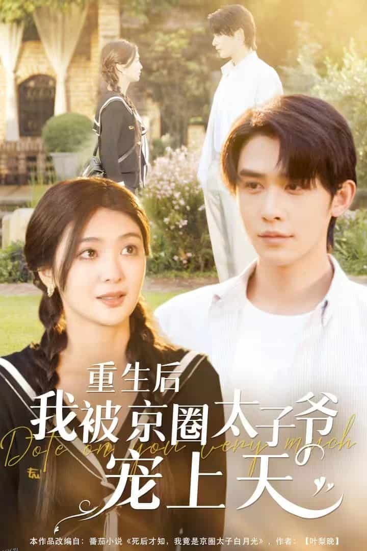重生后我被京圈太子爷宠上天 海报