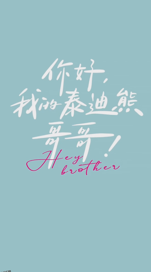 你好 我的泰迪熊哥哥 海报