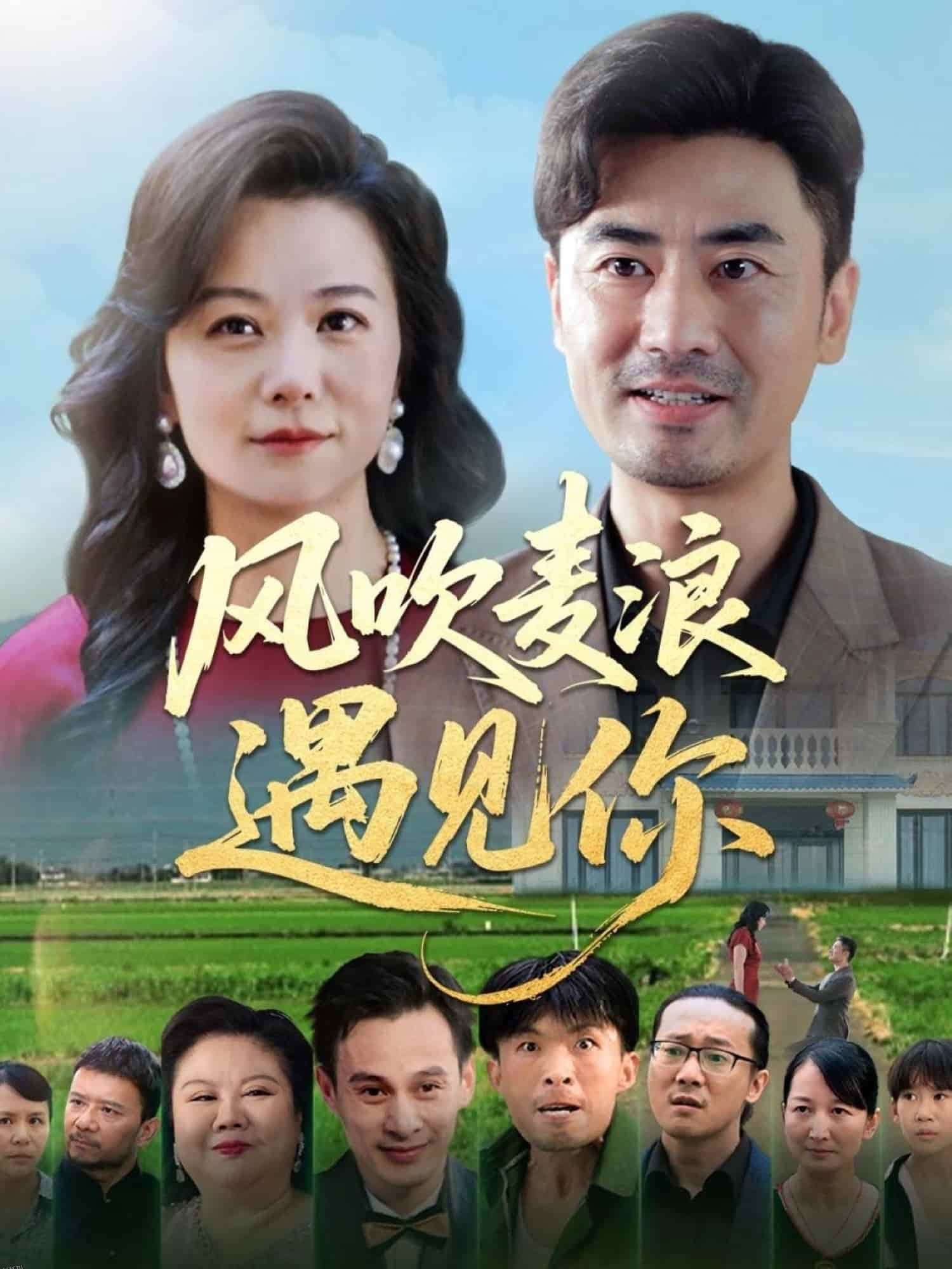 风吹麦浪遇见你 海报