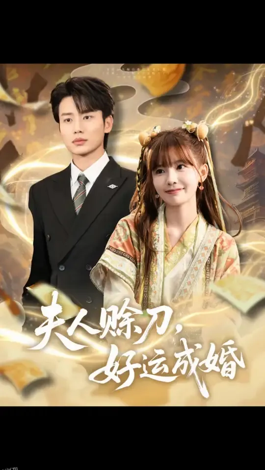 夫人赊刀好运成婚 海报
