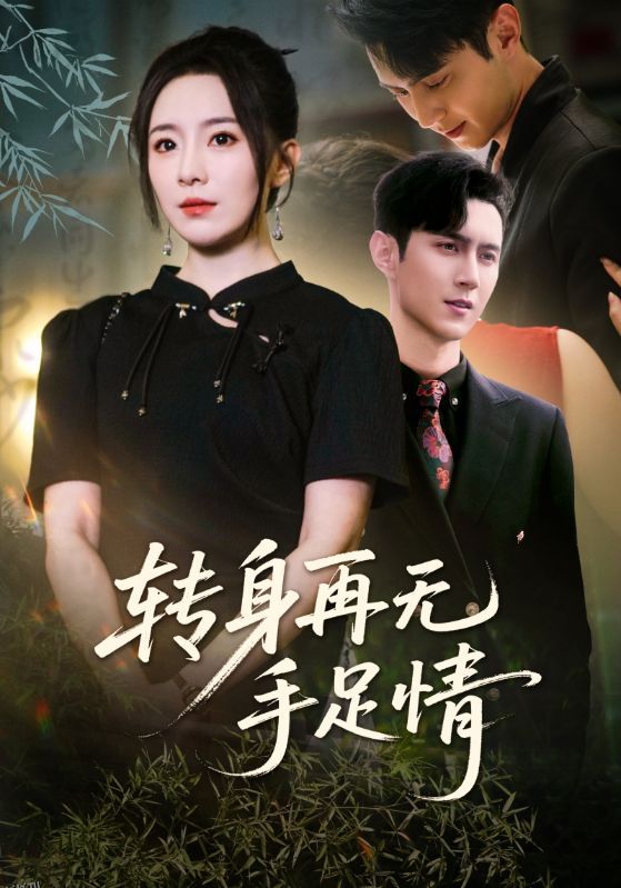 转身再无手足情 海报