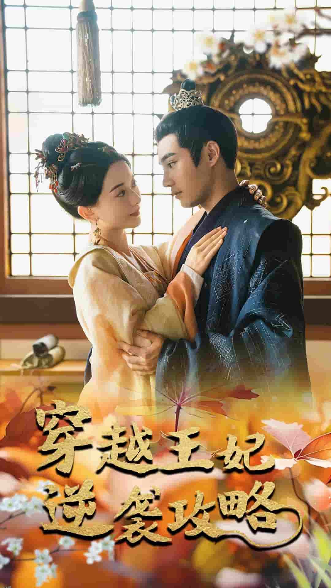 穿越王妃逆袭攻略 海报