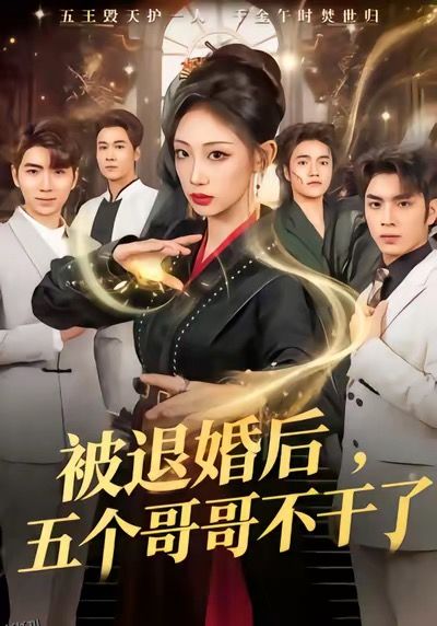 被退婚后，五个哥哥不干了 海报