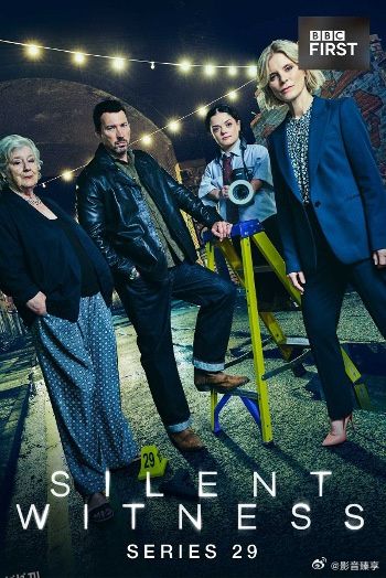 无声的证言 第二十九季 海报