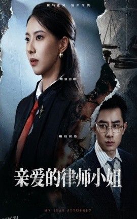 亲爱的律师小姐 海报