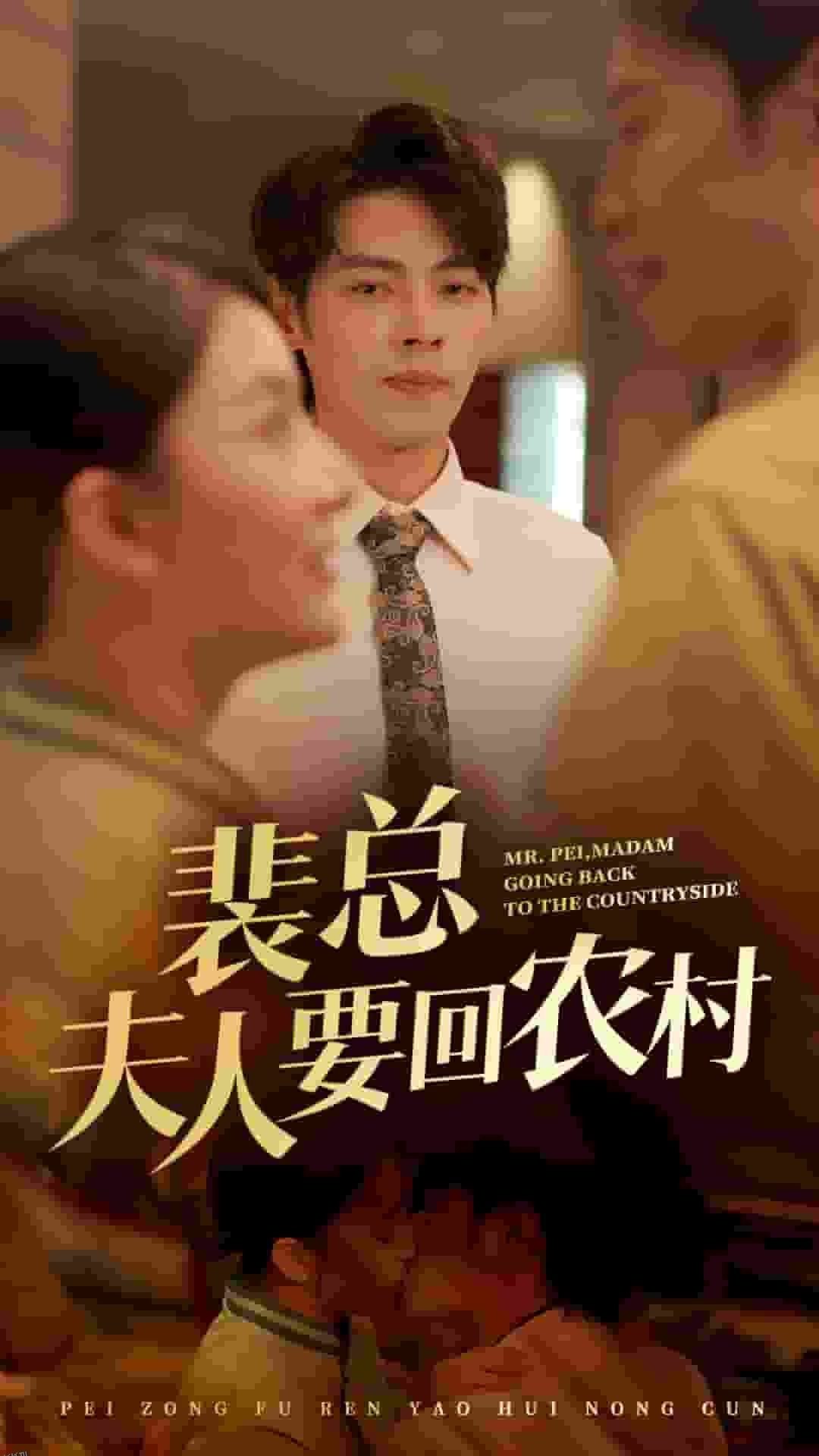 裴总夫人要回农村 海报