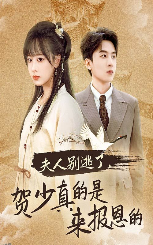 夫人别逃了贺少真的是来报恩的 高清海报