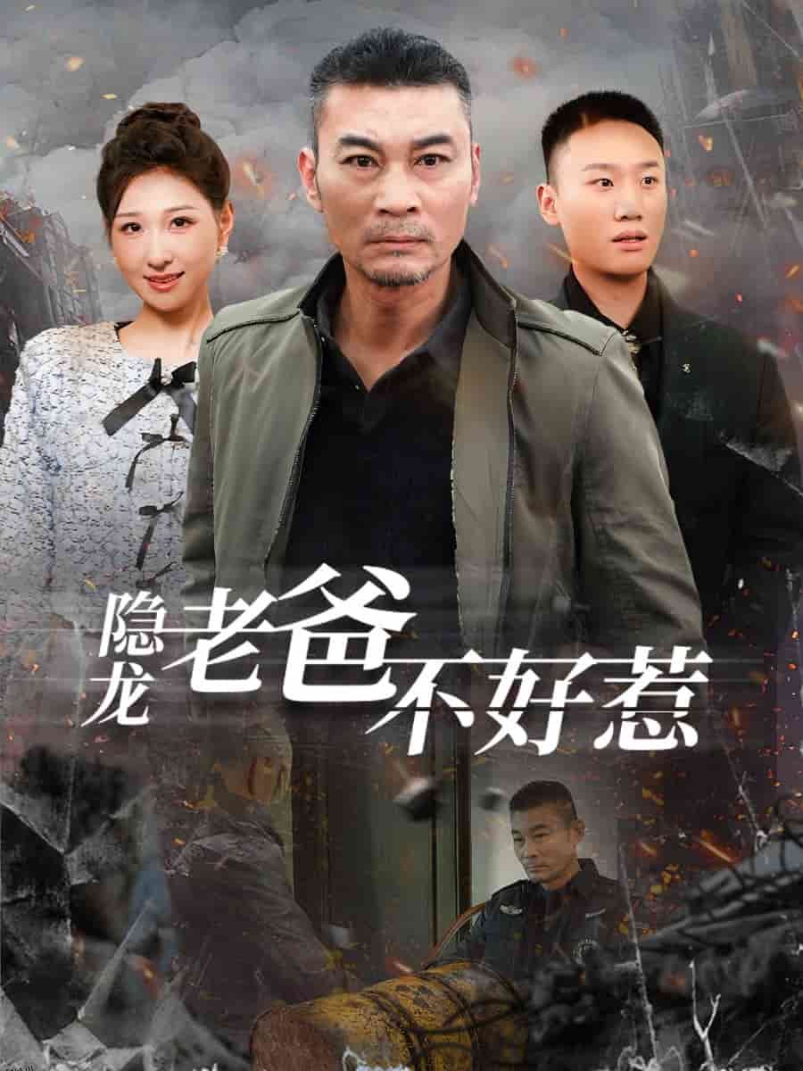 隐龙老爸不好惹 海报