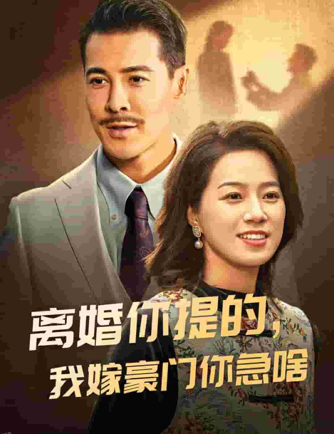 离婚你提的，我嫁豪门你急啥 海报