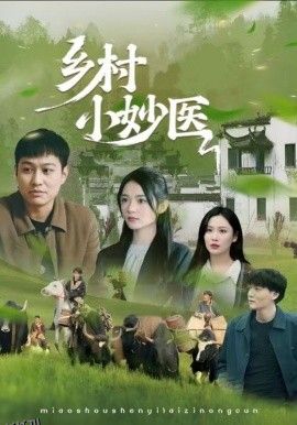 乡村小妙医 海报