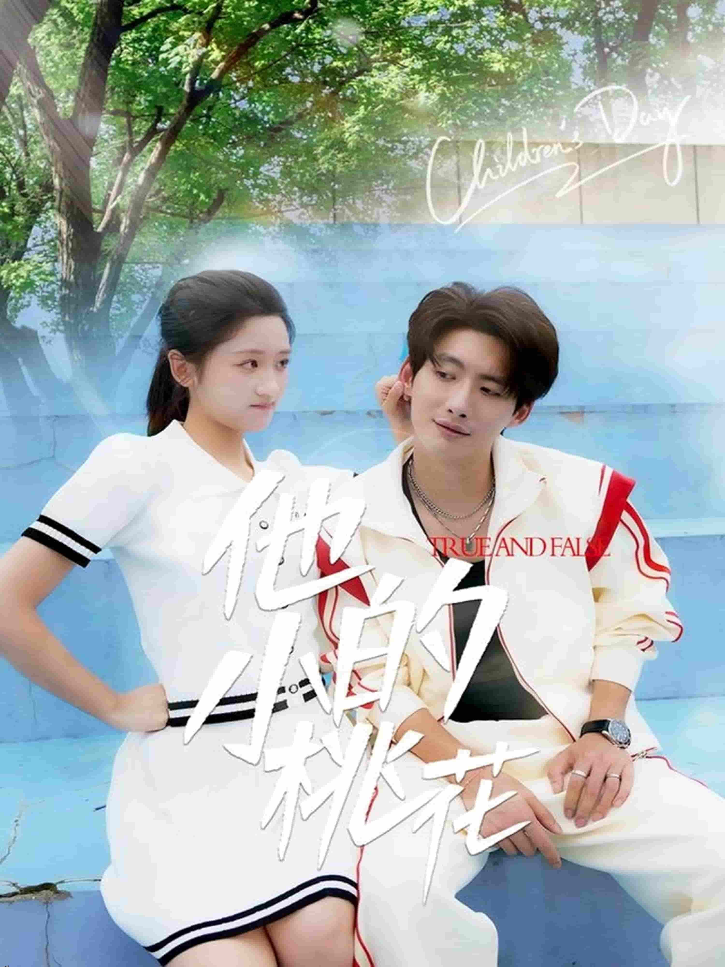 他的小桃花 海报