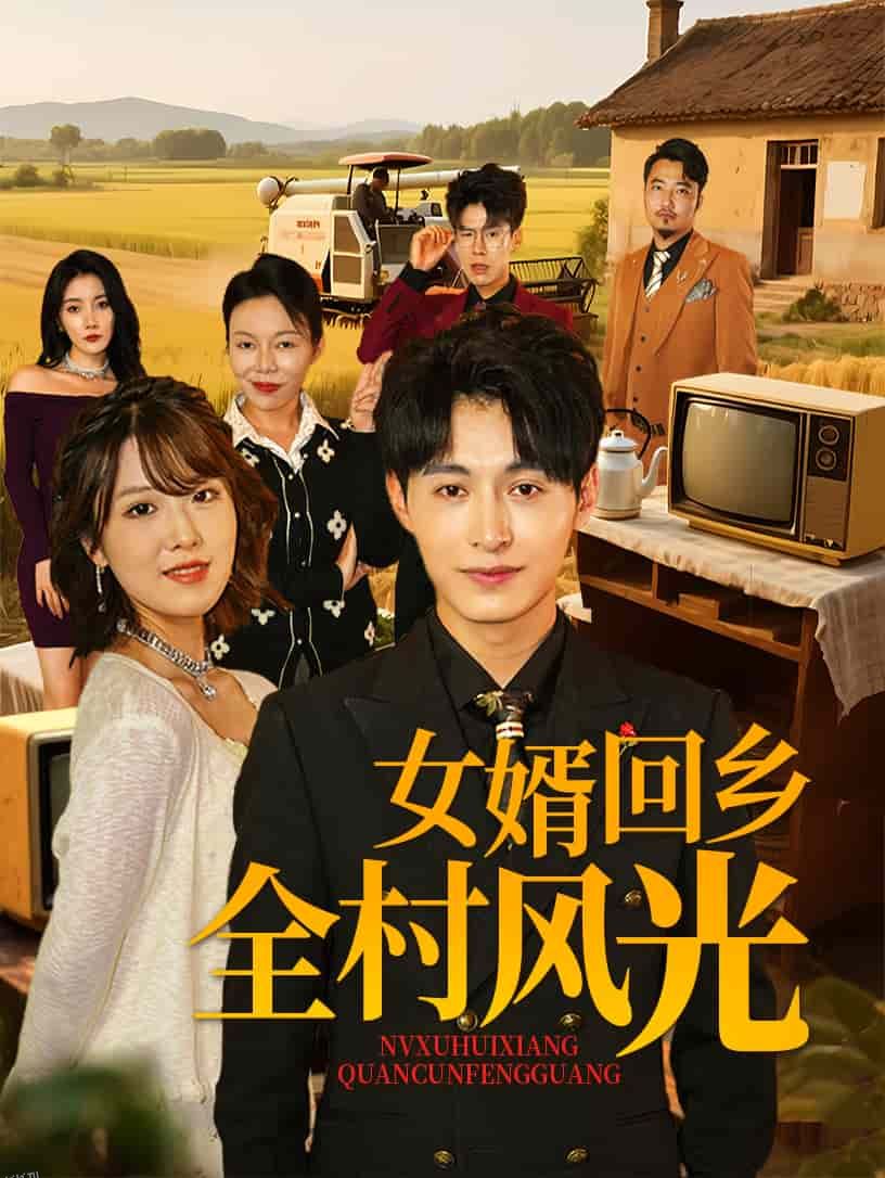 女婿回乡全村风光 海报