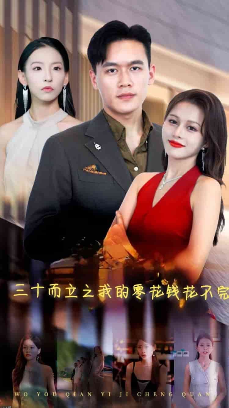 三十而立之我的零花钱花不完 海报