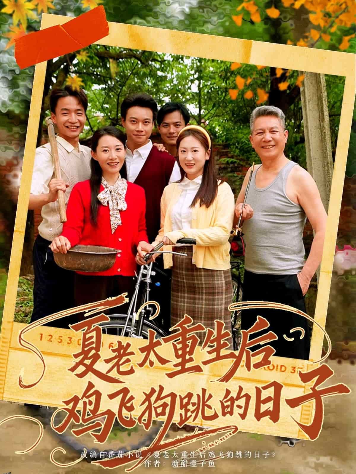 夏老太重生后鸡飞狗跳的日子 海报