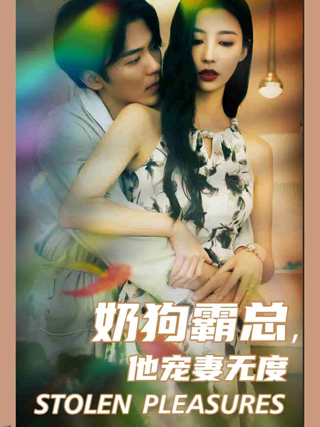 奶狗霸总，他宠妻无度 海报