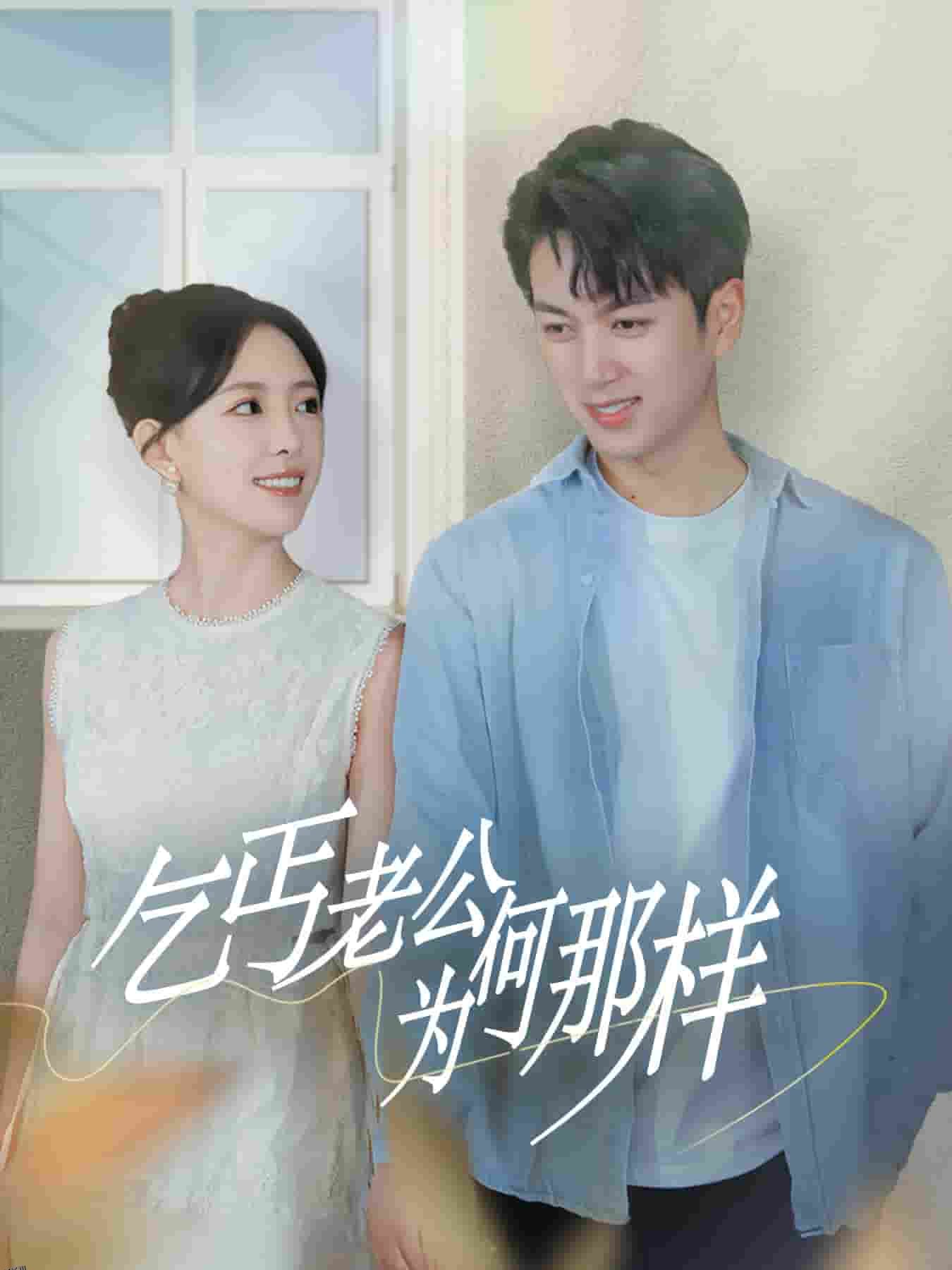 乞丐老公为何那样 海报