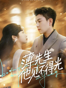 薄先生他见不得光 海报