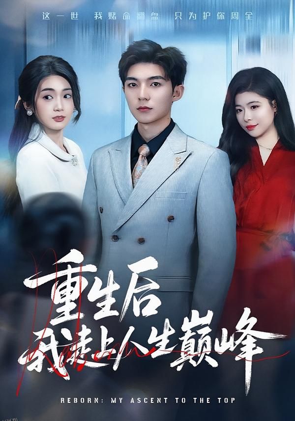 重生后我走上人生巅峰 海报
