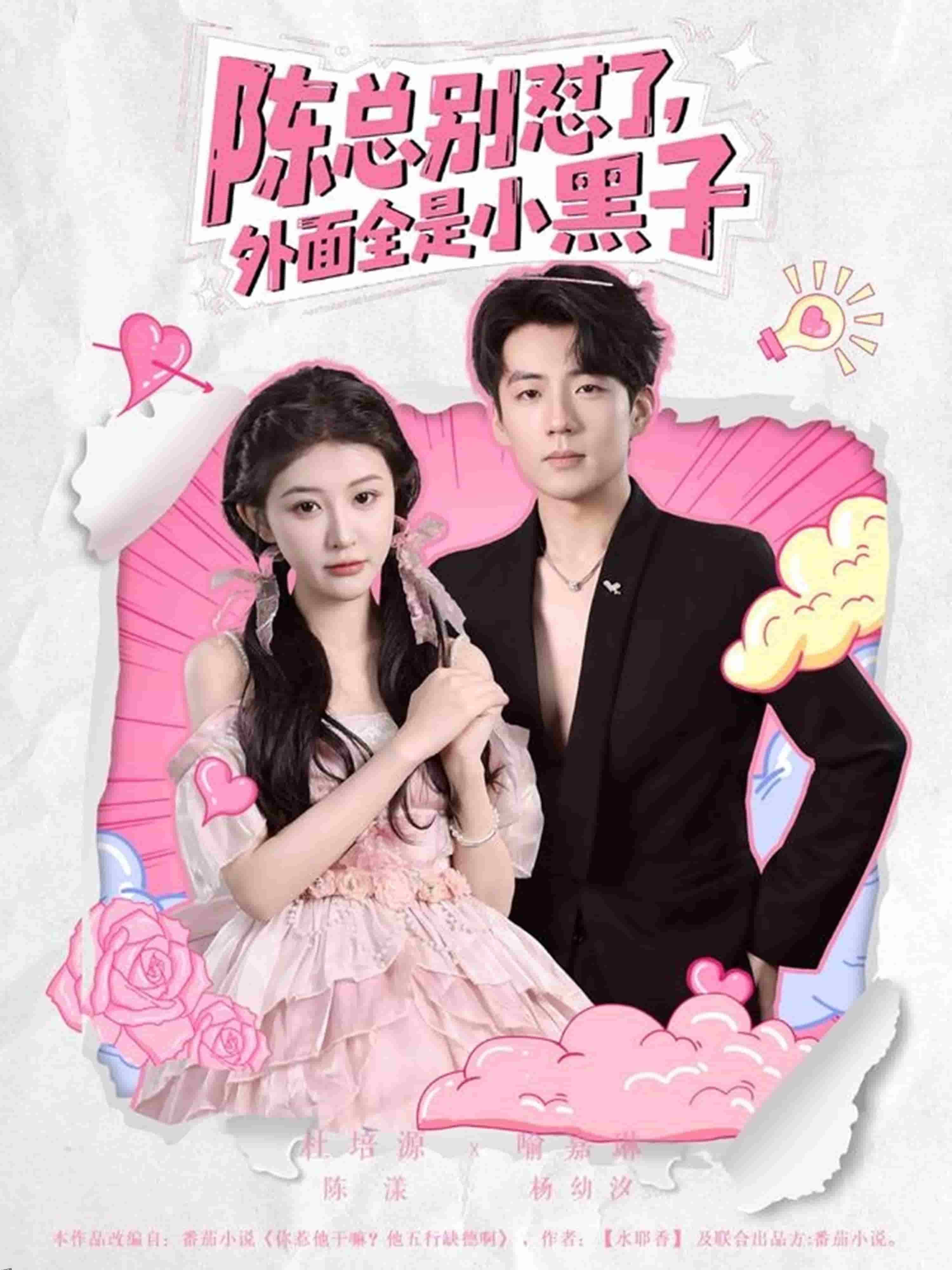 陈总别怼了外面全是小黑子 海报