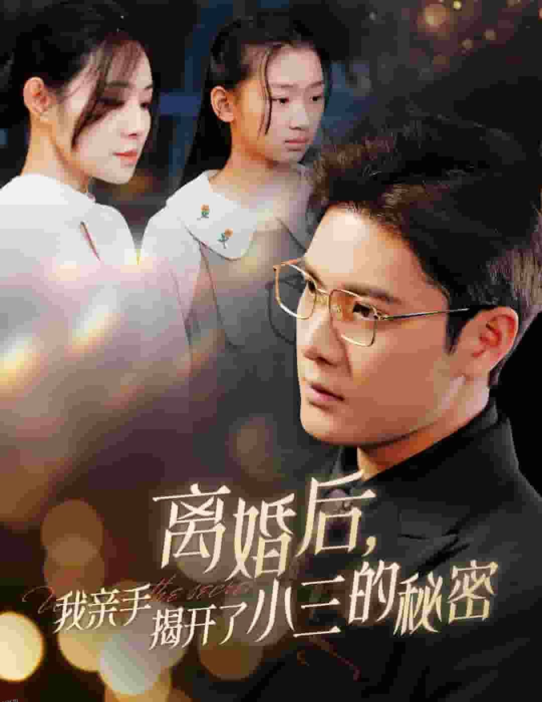 离婚后我亲手揭开了小三的秘密 海报