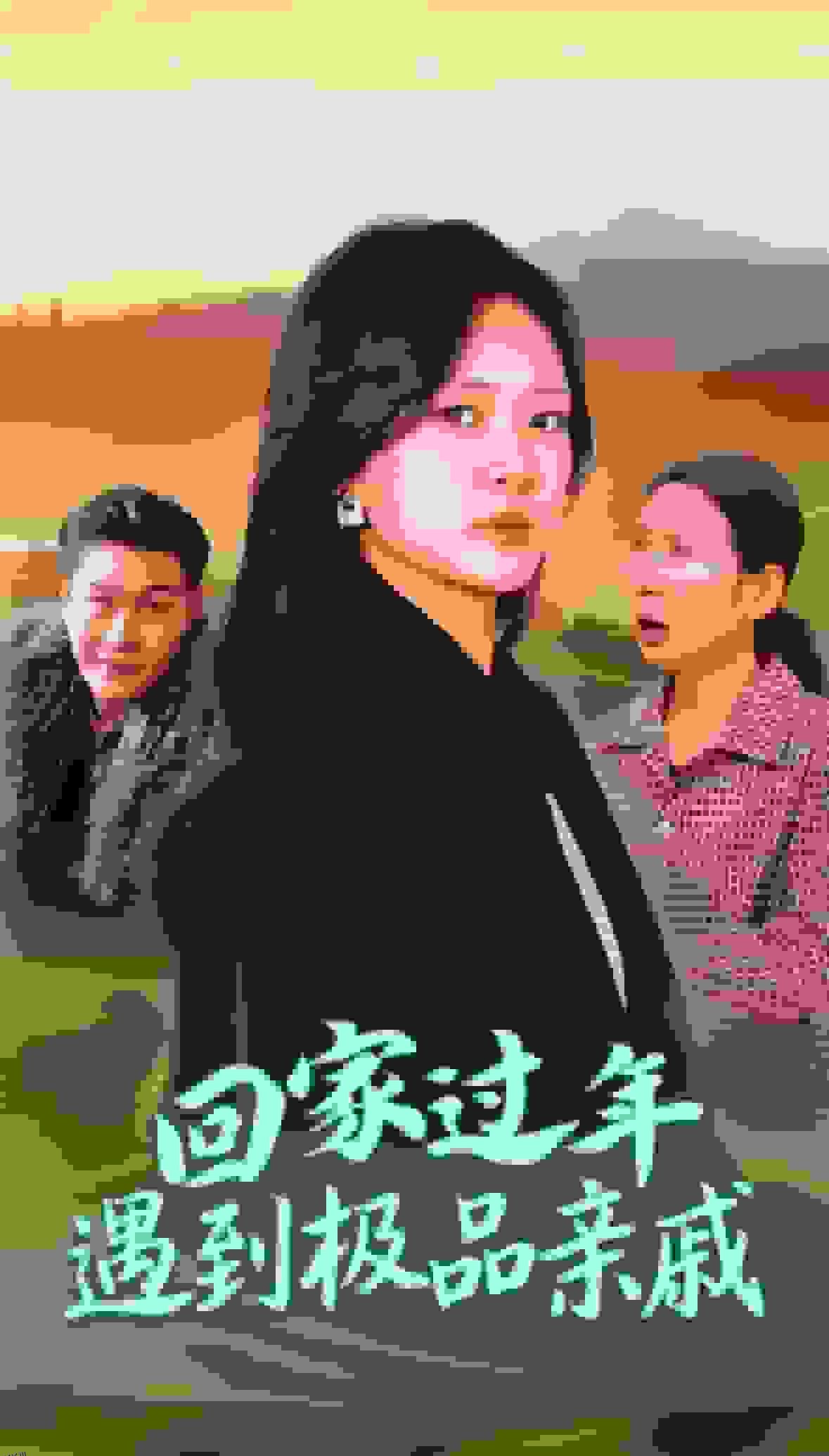 回家过年遇到极品亲戚 高清海报